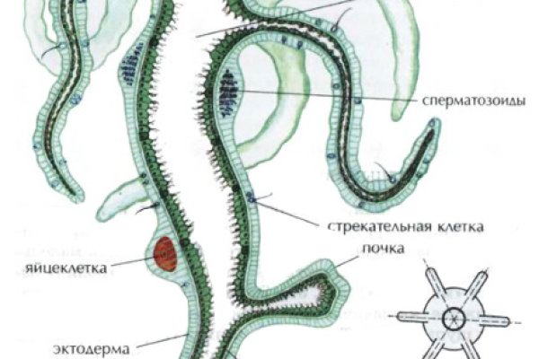 Кракен сайт даркнет зеркало